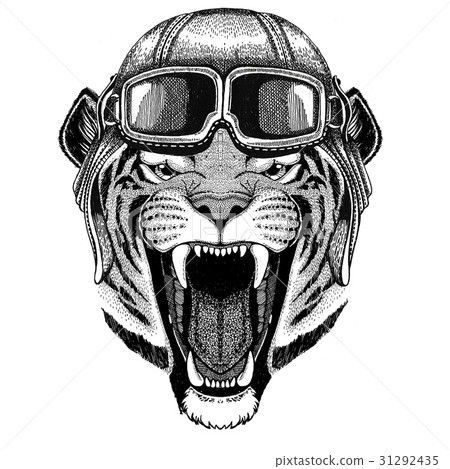 Wild tiger Aviator, biker, motorcycle Hand drawn 31292435