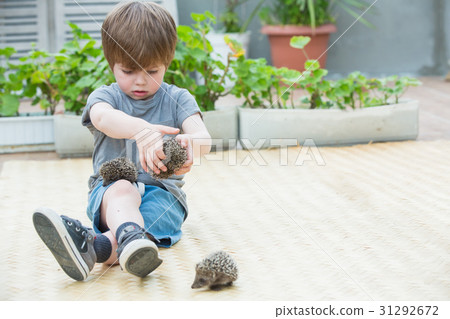 Little boy playing with hedgehog Little boy playing with hedgehog 31292672