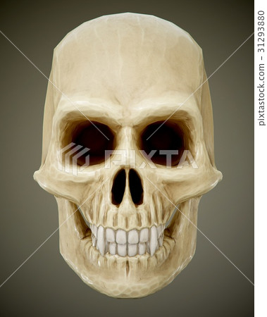 skull 31293880