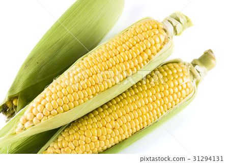 sweet corn on white background 31294131