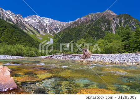 [Nagano] Azusa River in the fresh green Kamikochi 31295002
