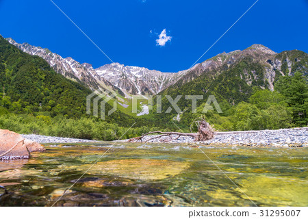 [Nagano] Azusa River in the fresh green Kamikochi 31295007