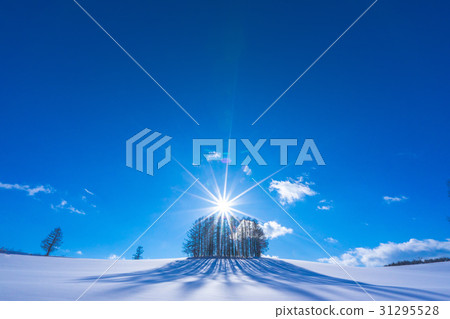 [北海道]美瑛輕度七山 31295528