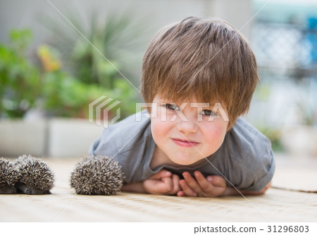Little boy playing with hedgehog 31296803