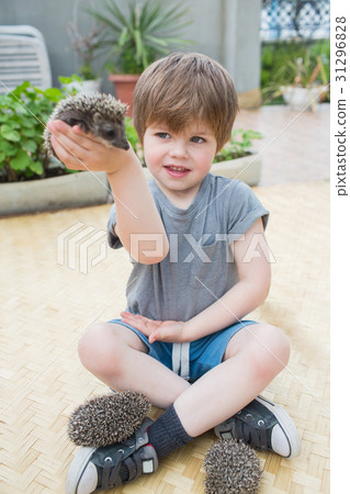 Little boy playing with hedgehog Little boy playing with hedgehog 31296828
