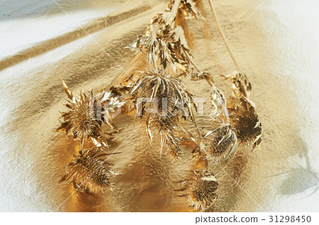 Thorn eryngium , painted with gold paint.Gold 31298450