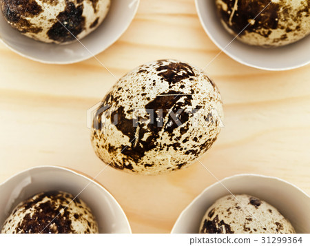 Quail Eggs 31299364