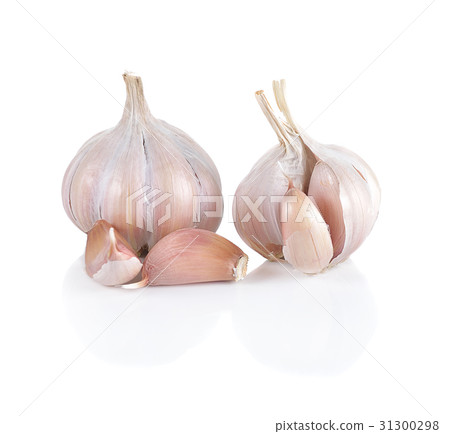 Garlic isolated on white background Garlic isolated on white background 31300298
