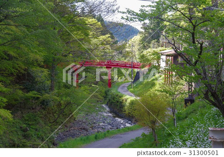 Gokurakubashi 31300501