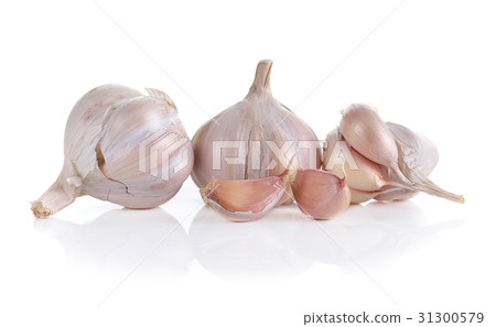 Garlic isolated on white background Garlic isolated on white background 31300579