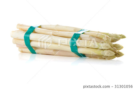 bundle of fresh white asparagus spears bundle of fresh white asparagus spears 31301056