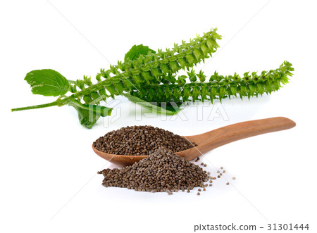 poppy seed and flower isolated on white background 31301444