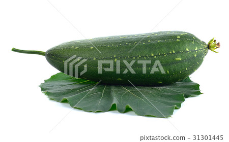 fresh loofah on the white background 31301445