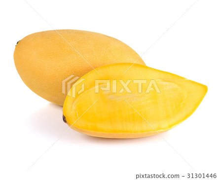 Yellow mango isolated on a white background Yellow mango isolated on a white background 31301446