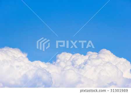 Summer cloud 31301989