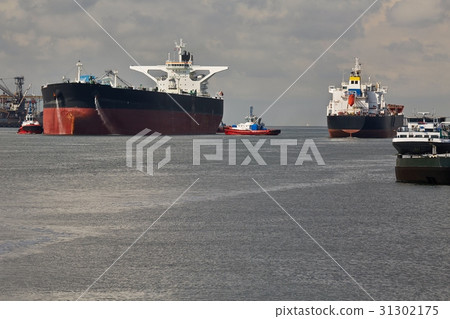Oil Tanker Ship Oil Tanker Ship 31302175