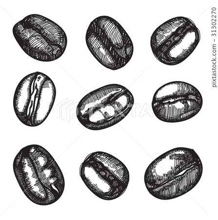 coffee beans 31302270