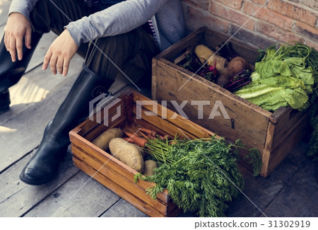 Adult People Sitting with Fresh Vegetable From Farm Adult People Sitting with Fresh Vegetable From Farm 31302919