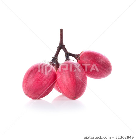Carunda or Karonda on white background 31302949