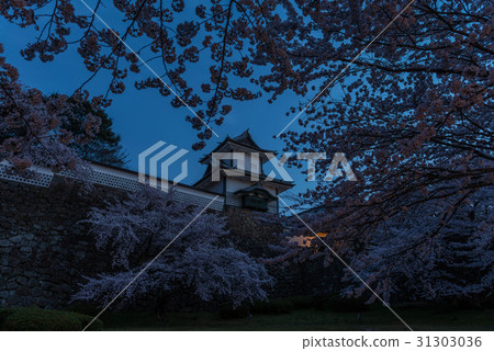 Cherry blossoms at the dawn of Kanazawa castle 31303036