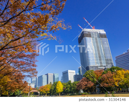 Fall of Hibiya Park 31304146
