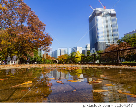 日比谷公園的秋天 日比谷公園的秋天 31304147
