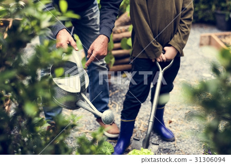 Family planting vegetable from backyard garden Family planting vegetable from backyard garden 31306094