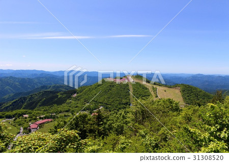 Charentacean Plateau 31308520