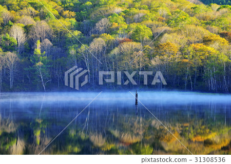 Togakushi and the mirror pond 31308536