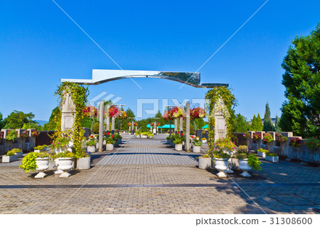 Uji City Botanical Gardens Flower Bridge Uji City Botanical Gardens Flower Bridge 31308600