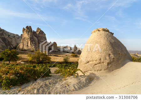 Rock formation in Love valley. Cappadocia. Turkey Rock formation in Love valley. Cappadocia. Turkey 31308706