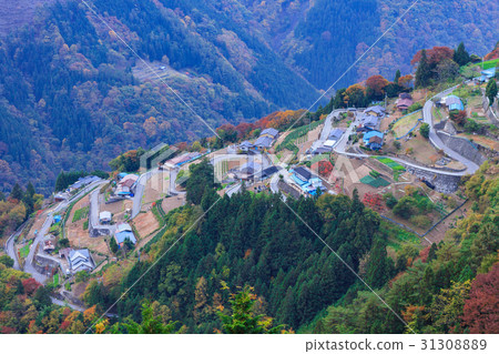 長野_下午村製作秋葉 31308889