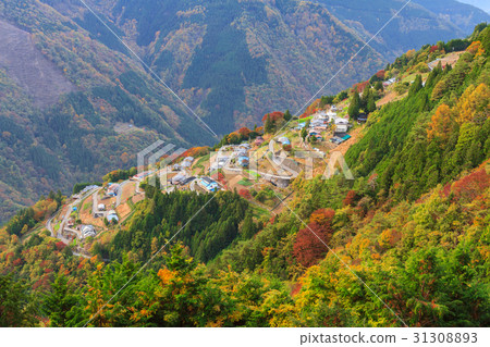 長野_下午村製作秋葉 長野_下午村製作秋葉 31308893