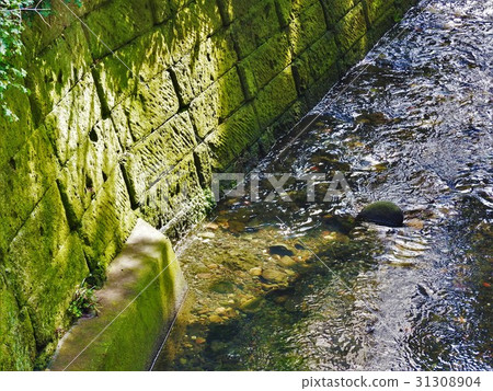 日本排水溝 31308904