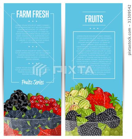 Farm fresh berry flyers set 31309542