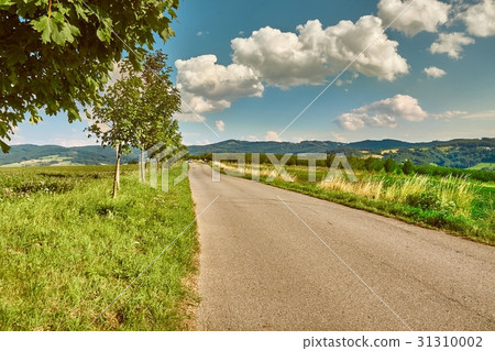 Countryside road in hilly landscpe 31310002