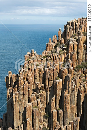 Rugged coastline cliffs Rugged coastline cliffs 31310020