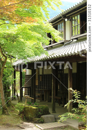 Yufuin *六月 Yufuin *六月 31310152