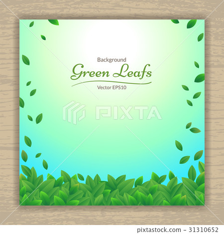 Vector nature background banner with green leaf 31310652
