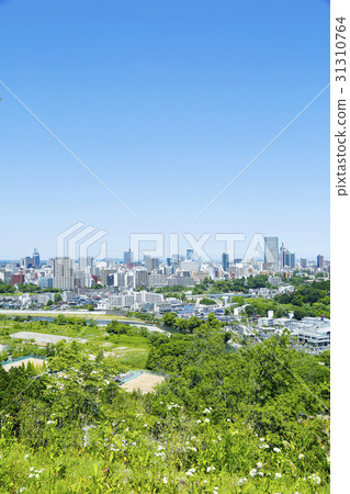 仙台市全景 31310764