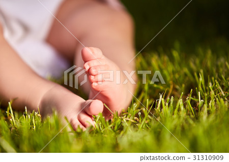 Small baby feet on the green grass at summer Small baby feet on the green grass at summer 31310909
