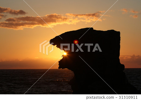 Lion rock 31310911