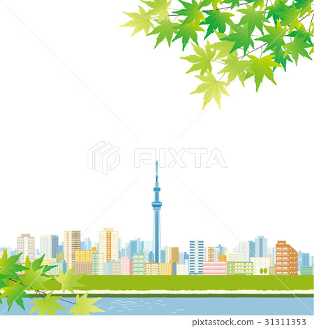 Blue maple and sky tree 31311353