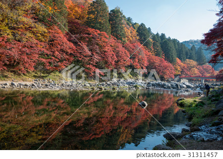 Korankei in beautiful autumn season. Korankei in beautiful autumn season. 31311457