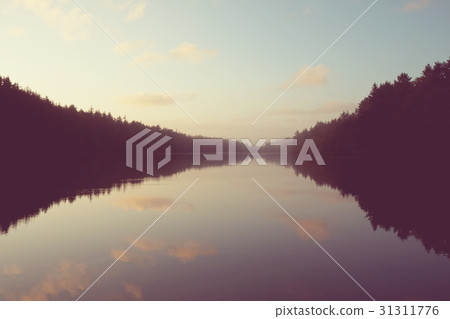 Fog on the lake 31311776