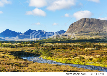 Norway landscapes 31311791