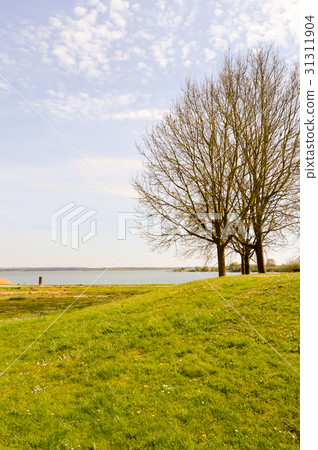 View of the lake of madine 31311904