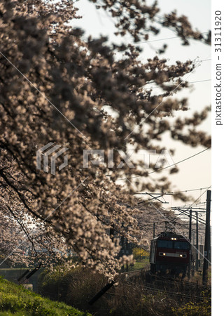 First glance at Senbonzakura First glance at Senbonzakura 31311920