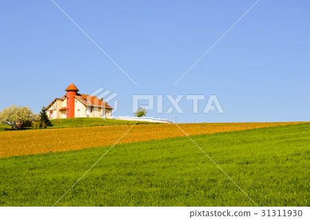 House with a turret over fields cultivated House with a turret over fields cultivated 31311930