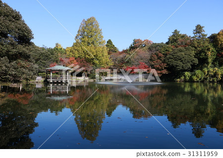 [富山縣]高岡老城堡公園（秋天） 31311959